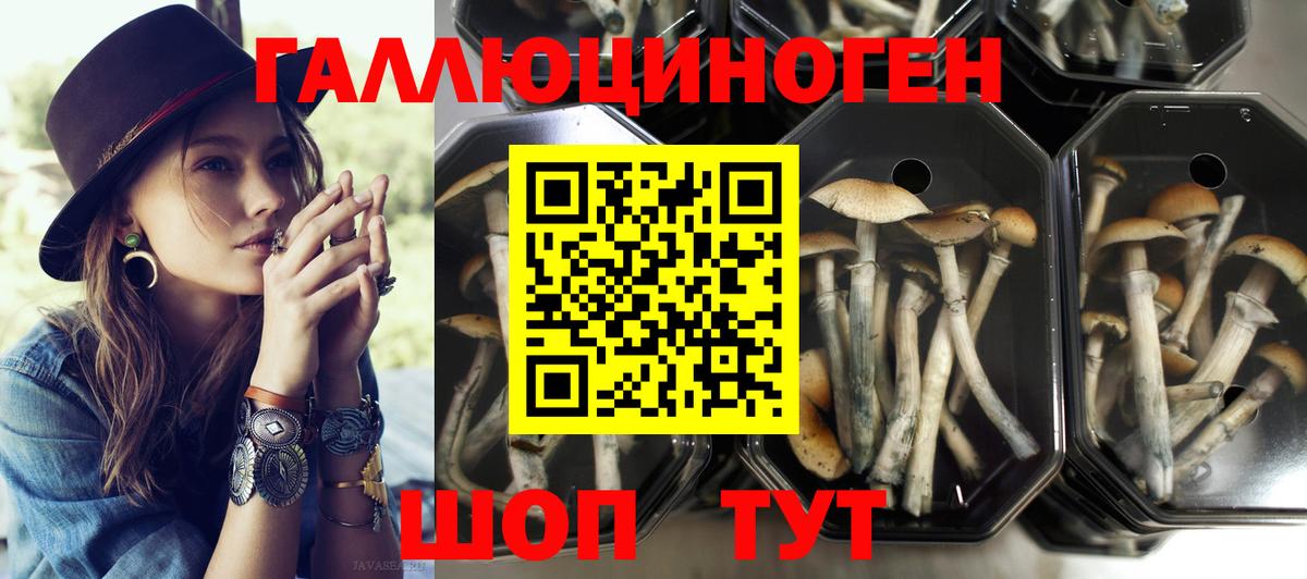 Галлюциногенные грибы Magic Shrooms  Вход с VPN  Бузулук  Псилоцибиновые грибы Cubensis 