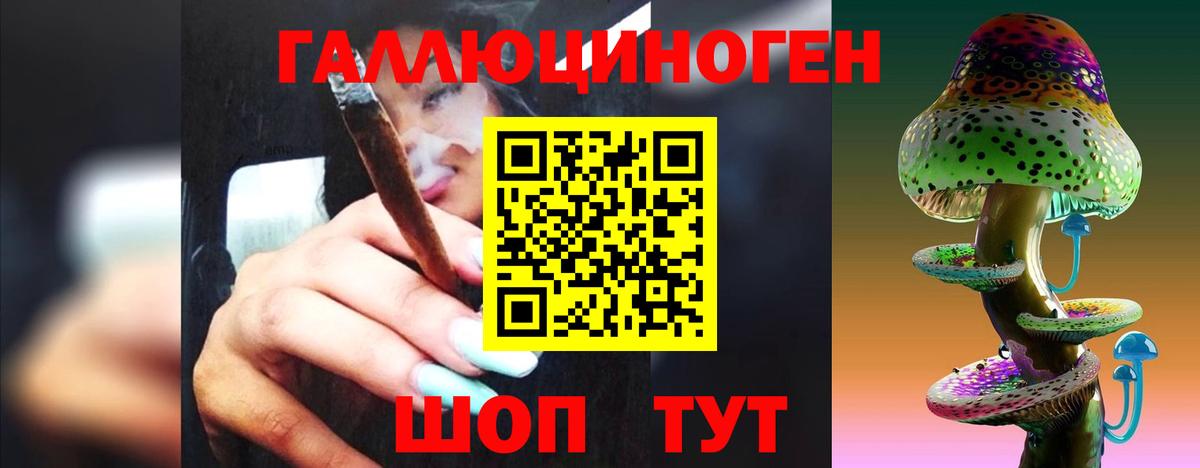 Галлюциногенные грибы Psilocybe Бузулук